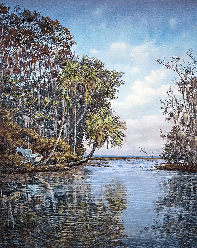 Reflections art print by James Harris for $57.95 CAD