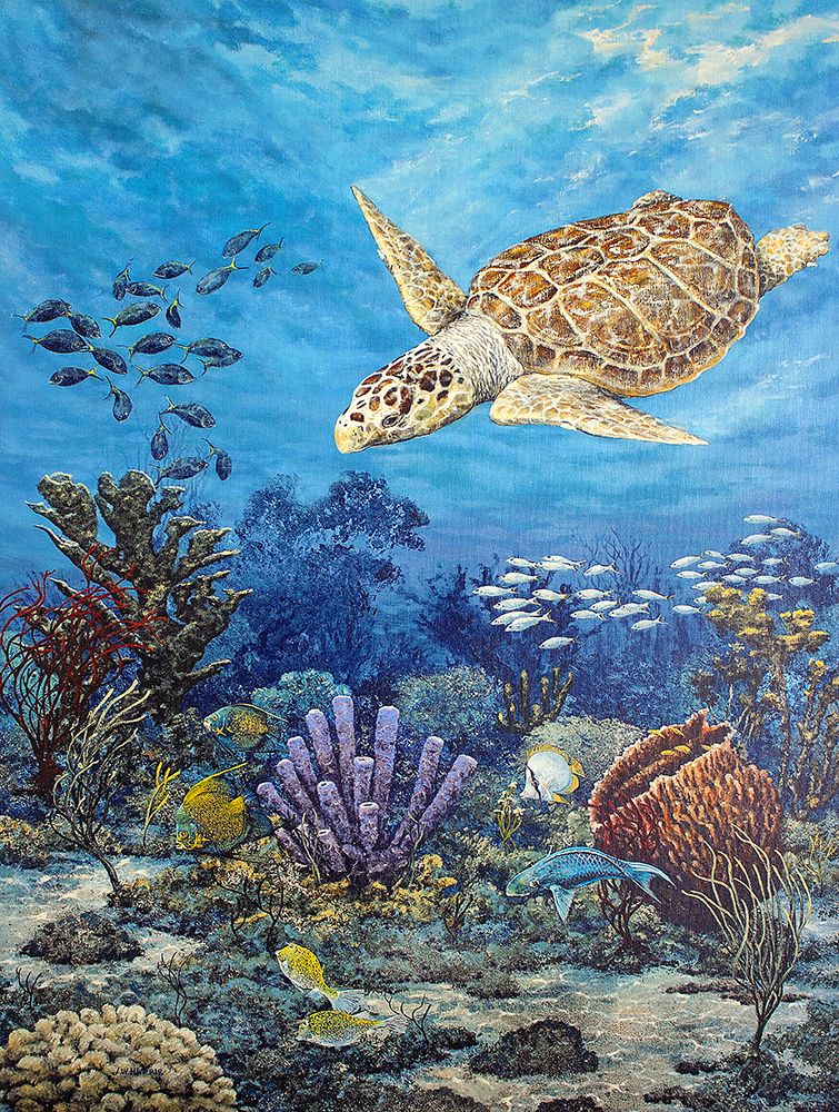 Copperhead Turtle art print by James Harris for $57.95 CAD