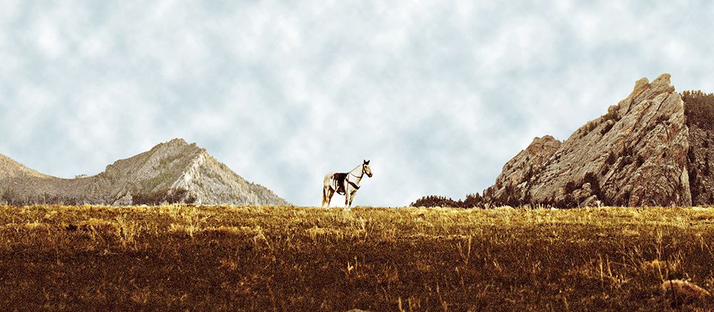 Patient Horse art print by SD Graphics Studio for $57.95 CAD