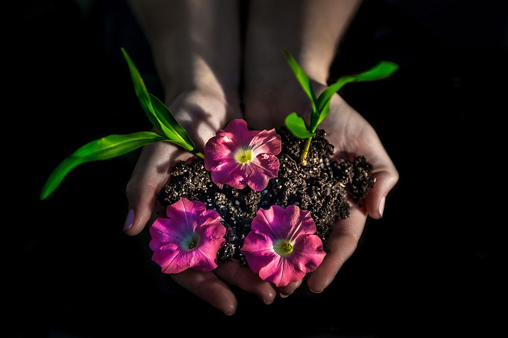 Giving Hands art print by Bill Carson Photography for $57.95 CAD