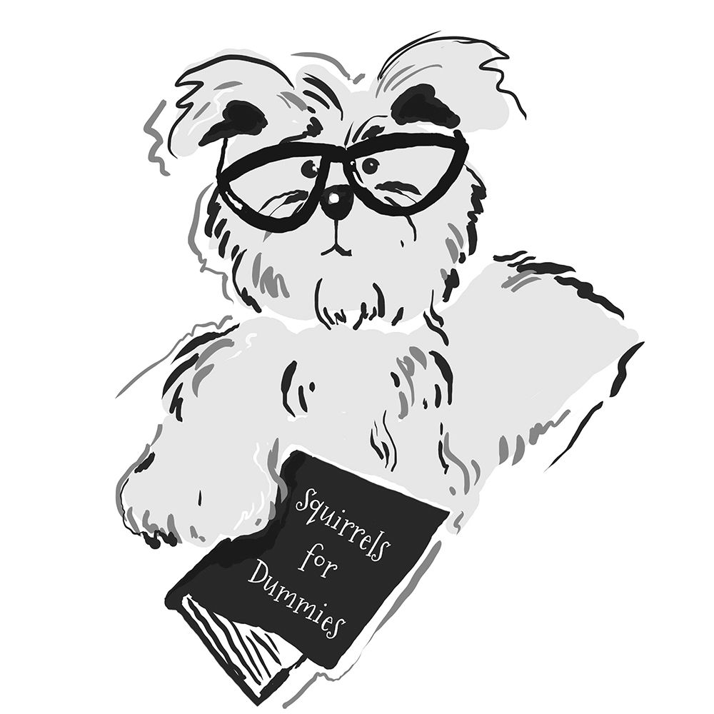 Studious Terry art print by Deidre Mosher for $57.95 CAD