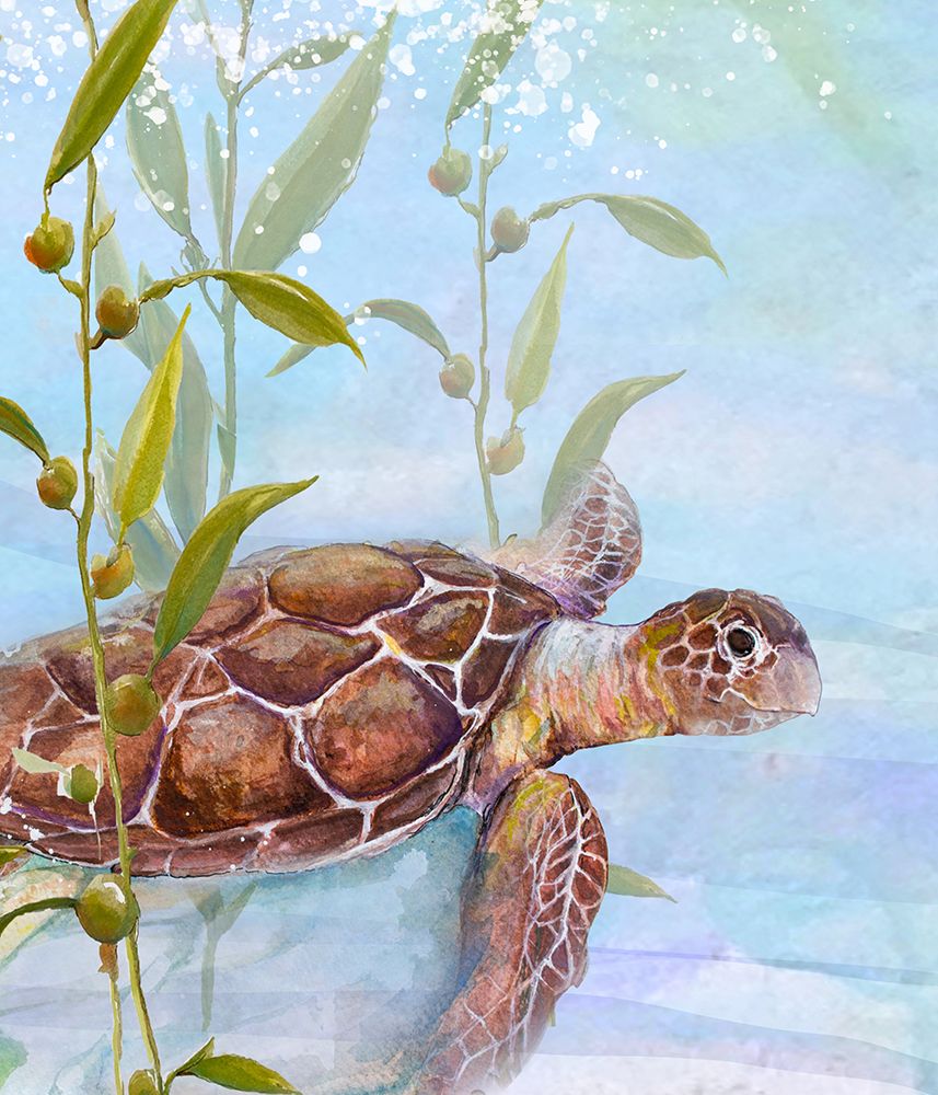 Turtle by the Reef I art print by Diannart for $57.95 CAD
