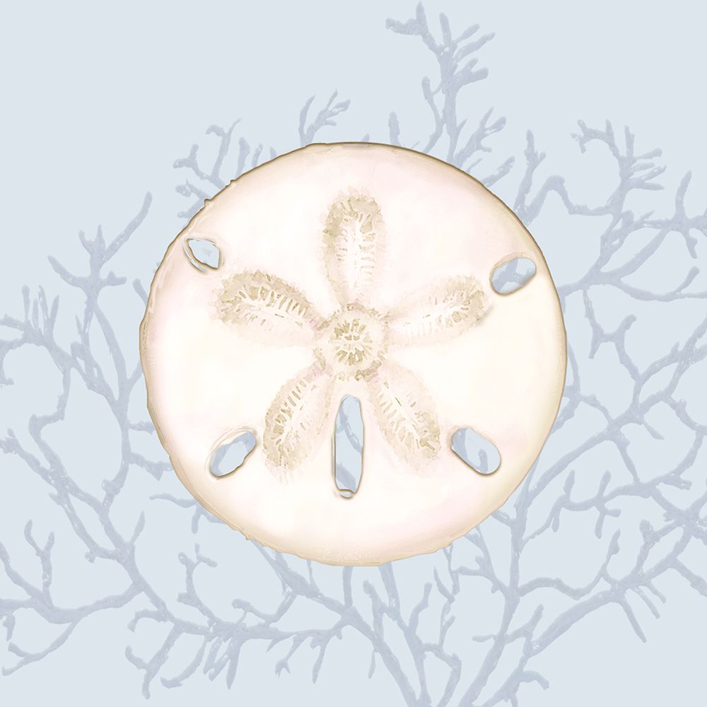Sand Dollar On Blue art print by Diannart for $57.95 CAD