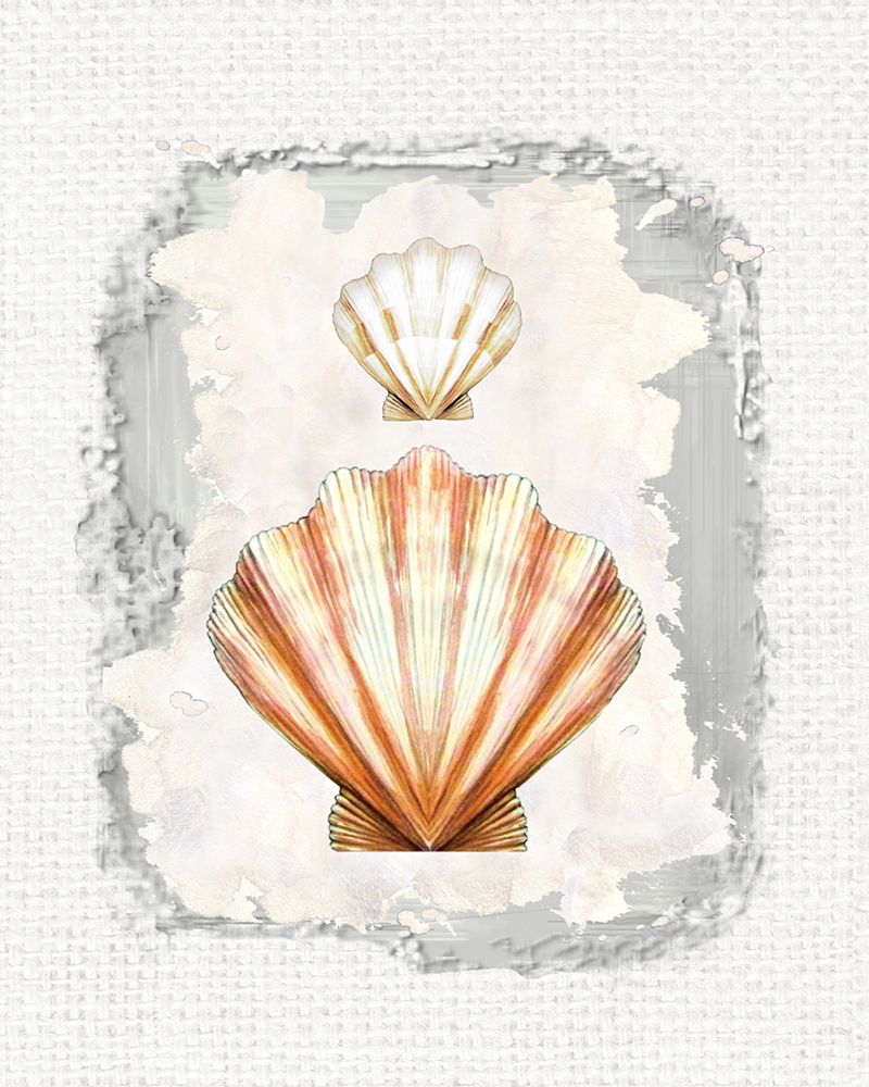 Textured Shells I art print by Diannart for $57.95 CAD