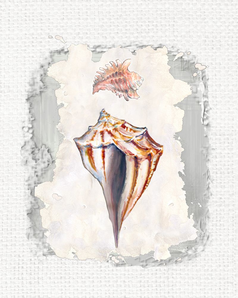 Textured Seashells IV art print by Diannart for $57.95 CAD