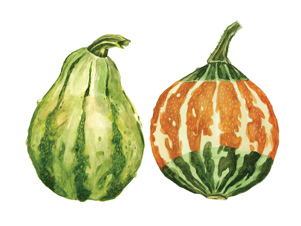 Pumpkin And Gourd art print by Lucca Sheppard for $57.95 CAD