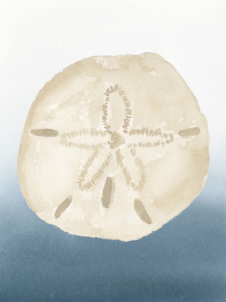 Coastal Tan Shell I art print by lucille Price for $57.95 CAD