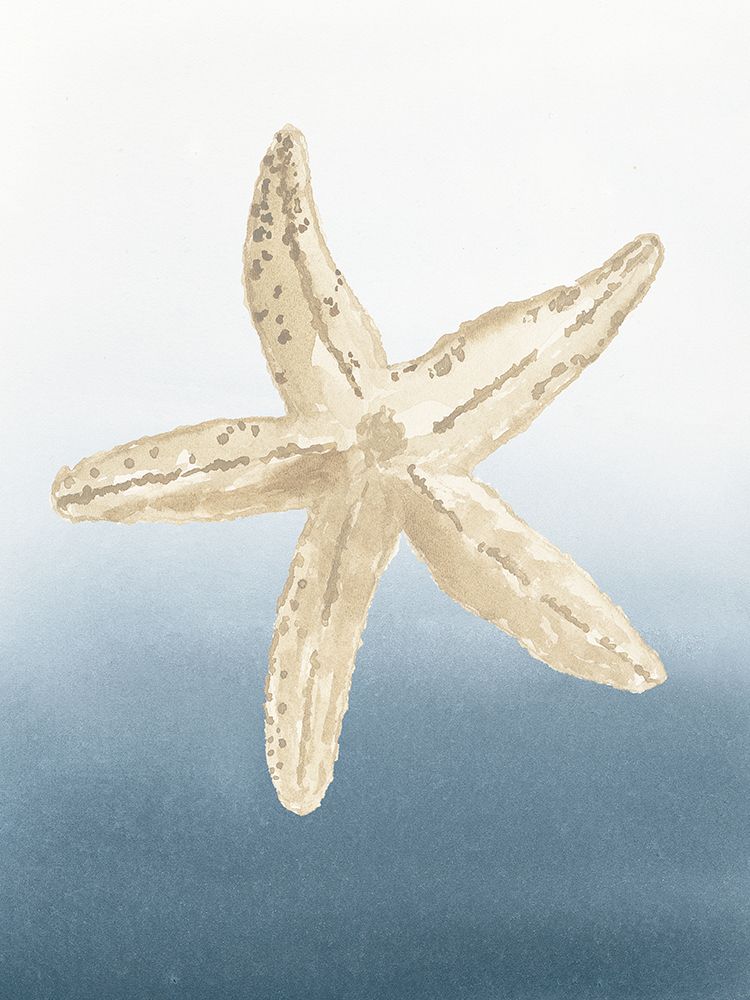 Coastal Tan Shell II art print by lucille Price for $57.95 CAD