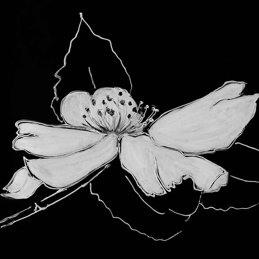 Black and White Flower art print by Patricia Pinto for $57.95 CAD