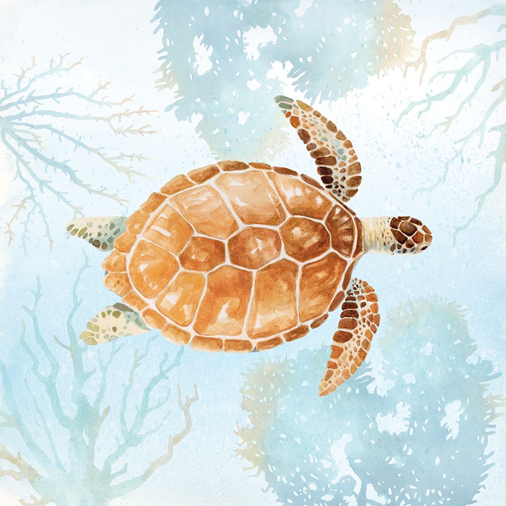 Sea Turtle Reef III art print by Lucca Sheppard for $57.95 CAD