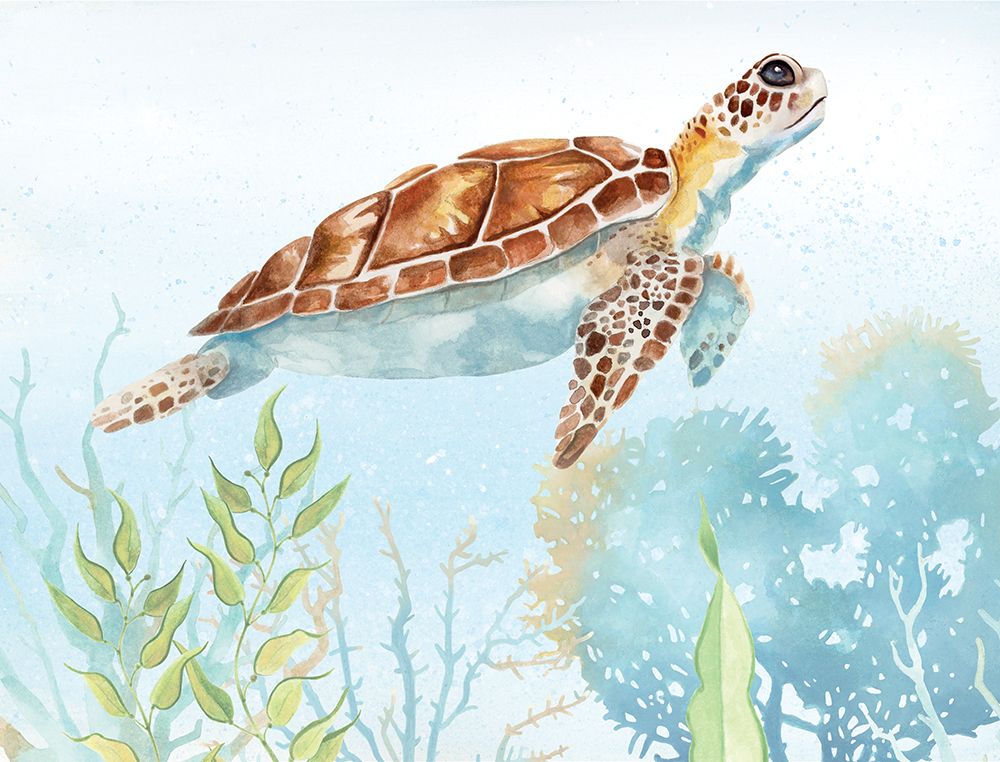 Sea Turtle Reef I art print by Lucca Sheppard for $57.95 CAD