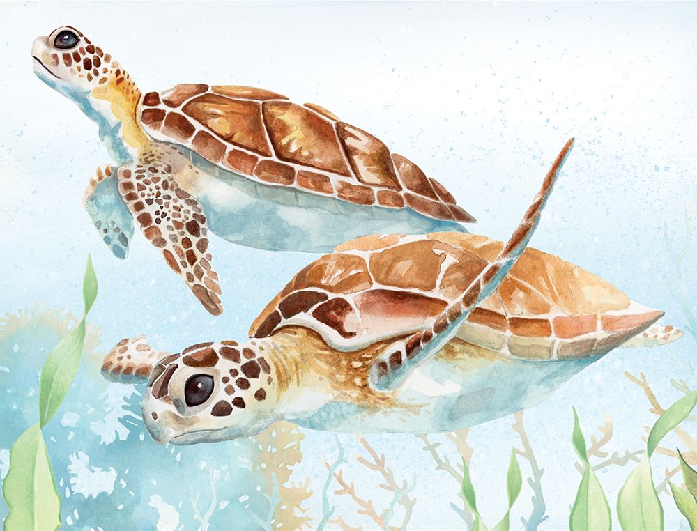 Sea Turtle Reef IV art print by Lucca Sheppard for $57.95 CAD