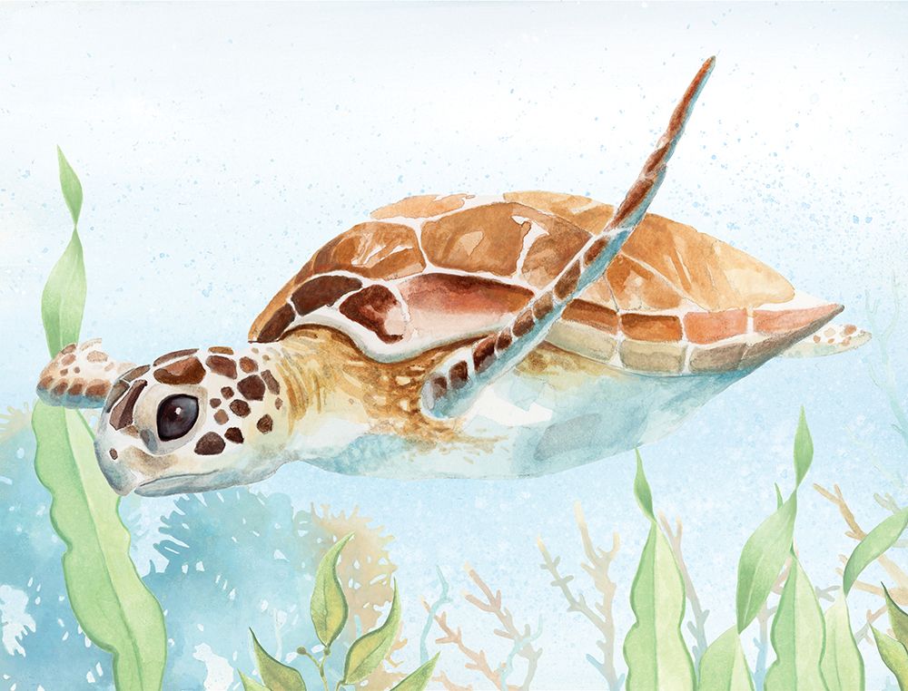 Sea Turtle Reef II art print by Lucca Sheppard for $57.95 CAD