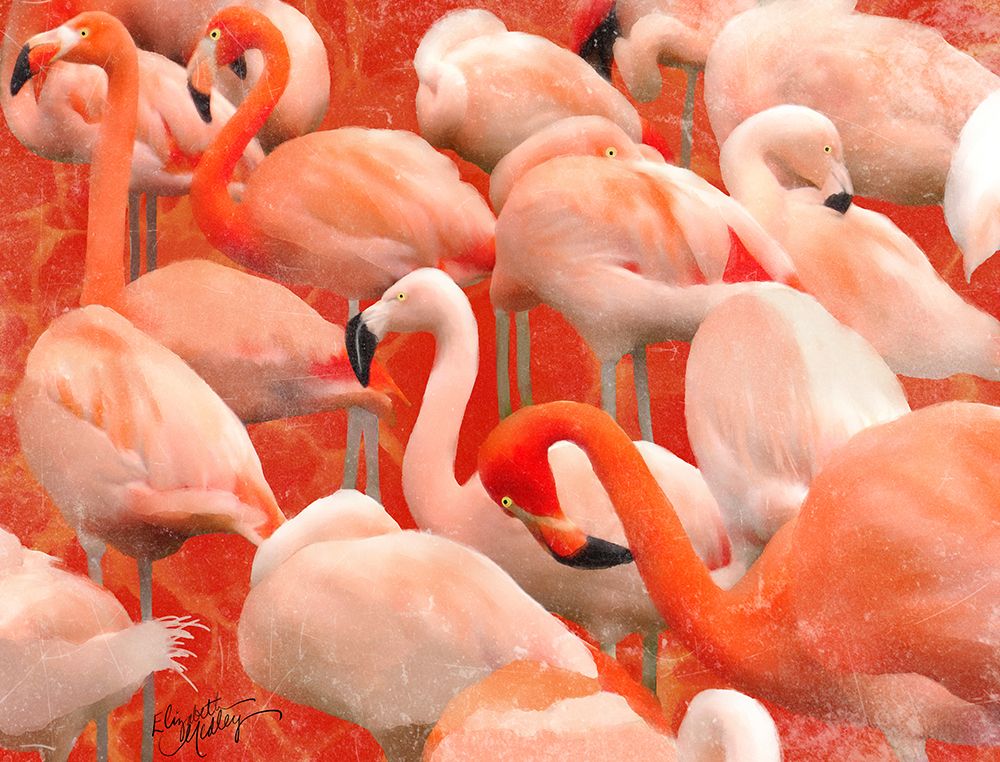 Flamboyance art print by Elizabeth Medley for $57.95 CAD