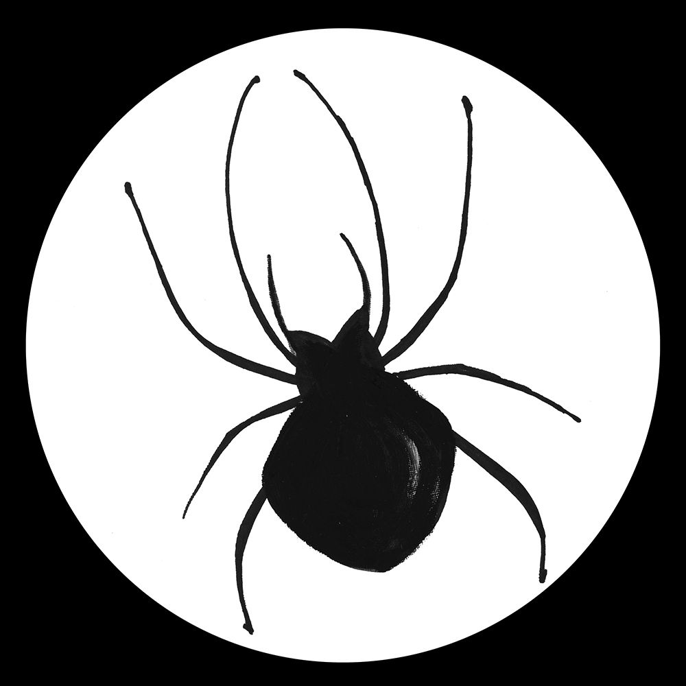 Black Spider art print by Patricia Pinto for $57.95 CAD