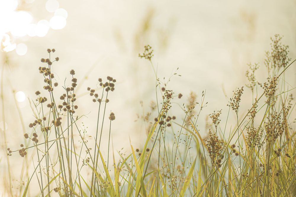 Country Afternoon Walk art print by Erin Marie for $57.95 CAD