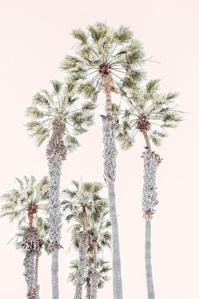 Palm Trees art print by Erin Marie for $57.95 CAD