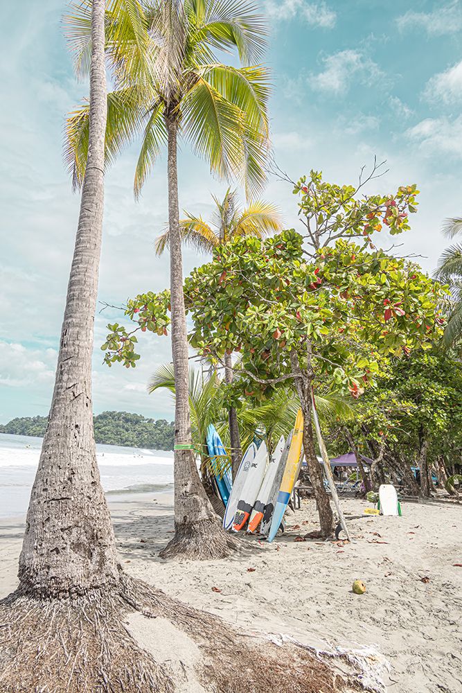 Resting Surfboards art print by Erin Marie for $57.95 CAD