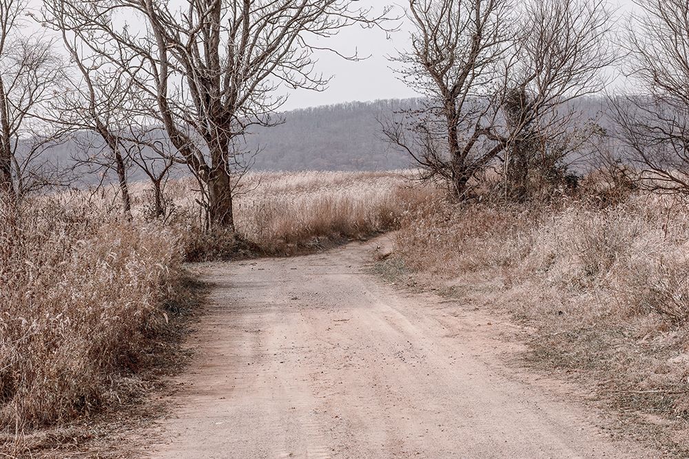 Road To The Mountains art print by Erin Marie for $57.95 CAD