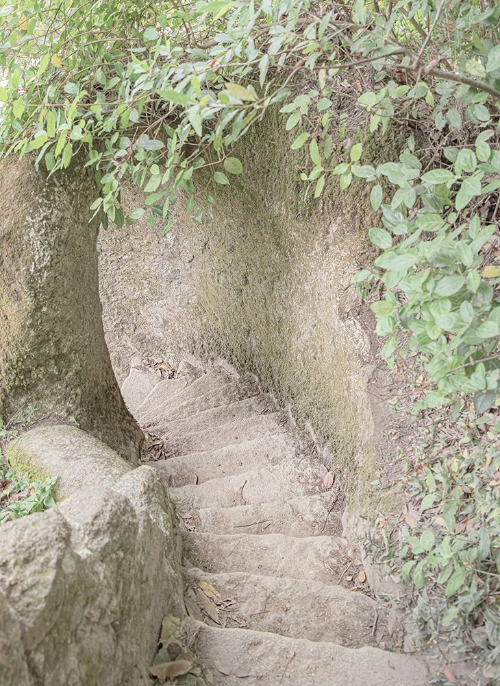 Winding Stairs art print by Erin Marie for $57.95 CAD