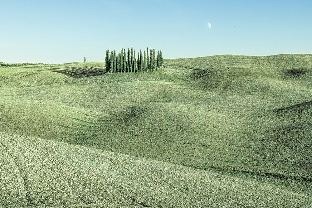Green Italian Countryside art print by Erin Marie for $57.95 CAD