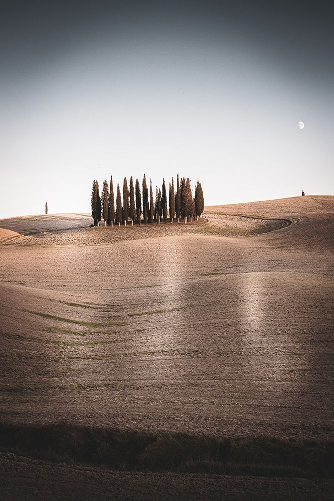 Italian Countryside At Dusk art print by Erin Marie for $57.95 CAD