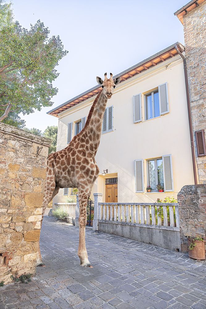 Old Entry With Giraffe art print by Erin Marie for $57.95 CAD