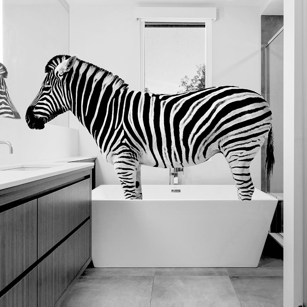 Safari Bath II art print by SD Graphics Studio for $57.95 CAD