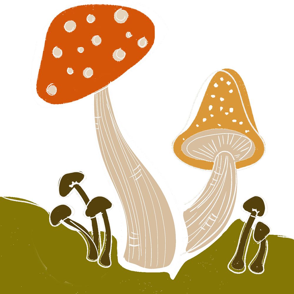 Mushroom Dance I art print by Deidre Mosher for $57.95 CAD