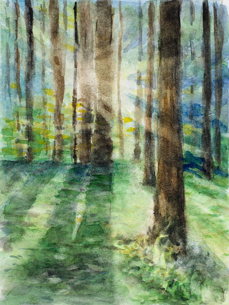 Morning Shadows art print by Lanie Loreth for $57.95 CAD