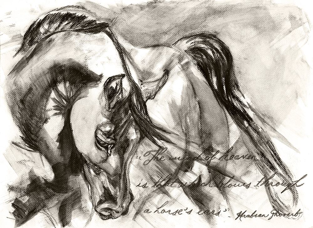 Sketched Horse View art print by Liz Sunridge for $57.95 CAD