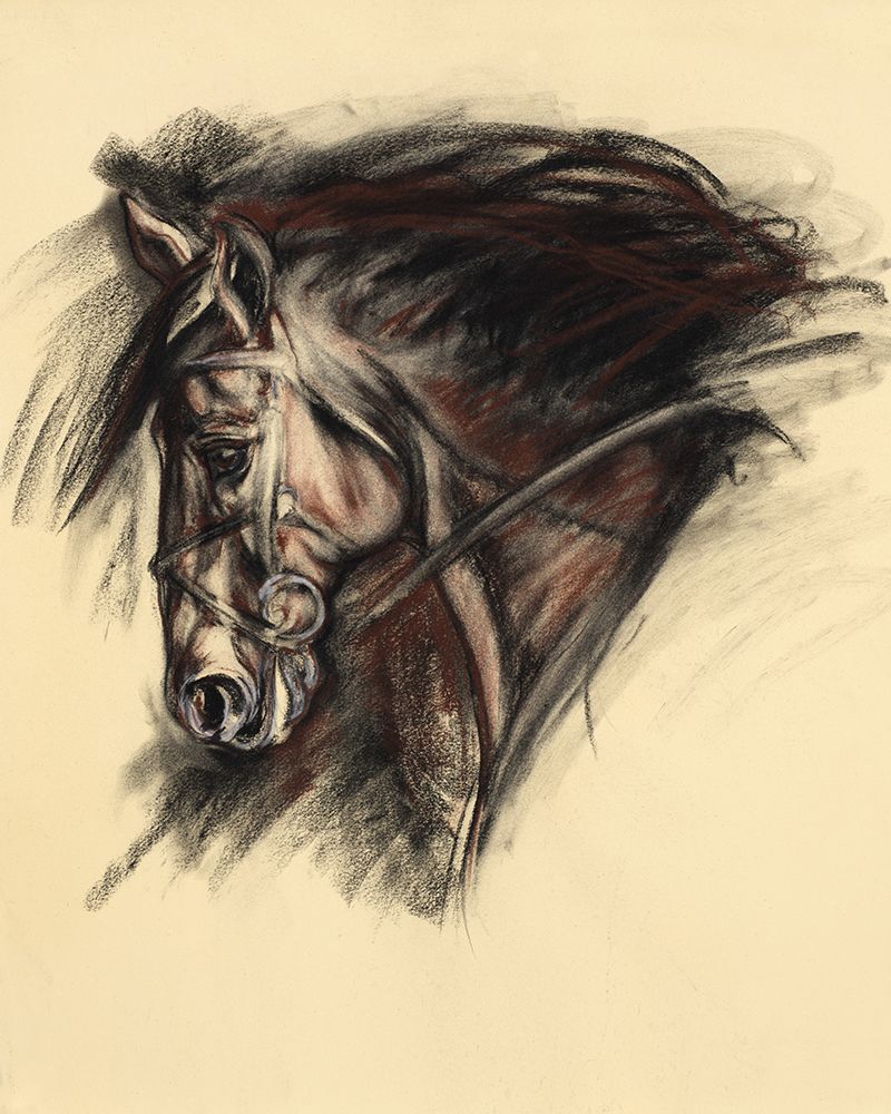 Sketched Horse Profile art print by Liz Sunridge for $57.95 CAD