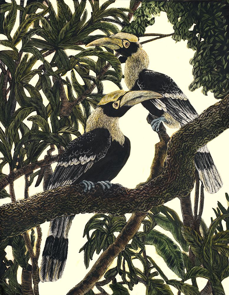 Vintage Indian Hornbills art print by Liz Sunridge for $57.95 CAD