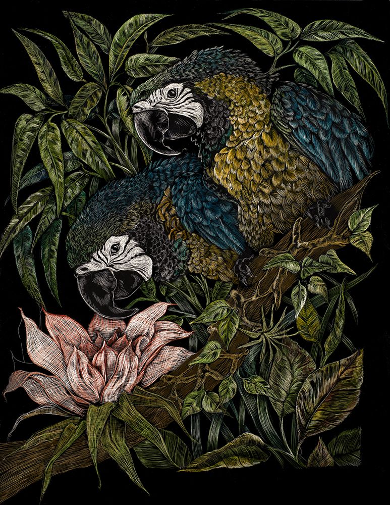 Vintage Macaws art print by Liz Sunridge for $57.95 CAD