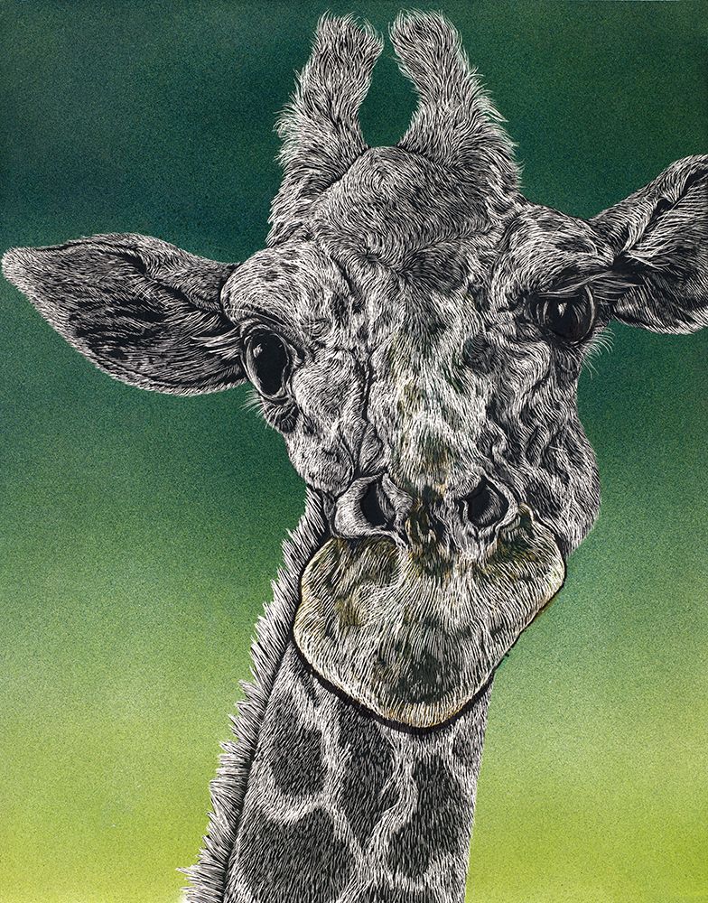 Scratchboard Giraffe art print by Liz Sunridge for $57.95 CAD