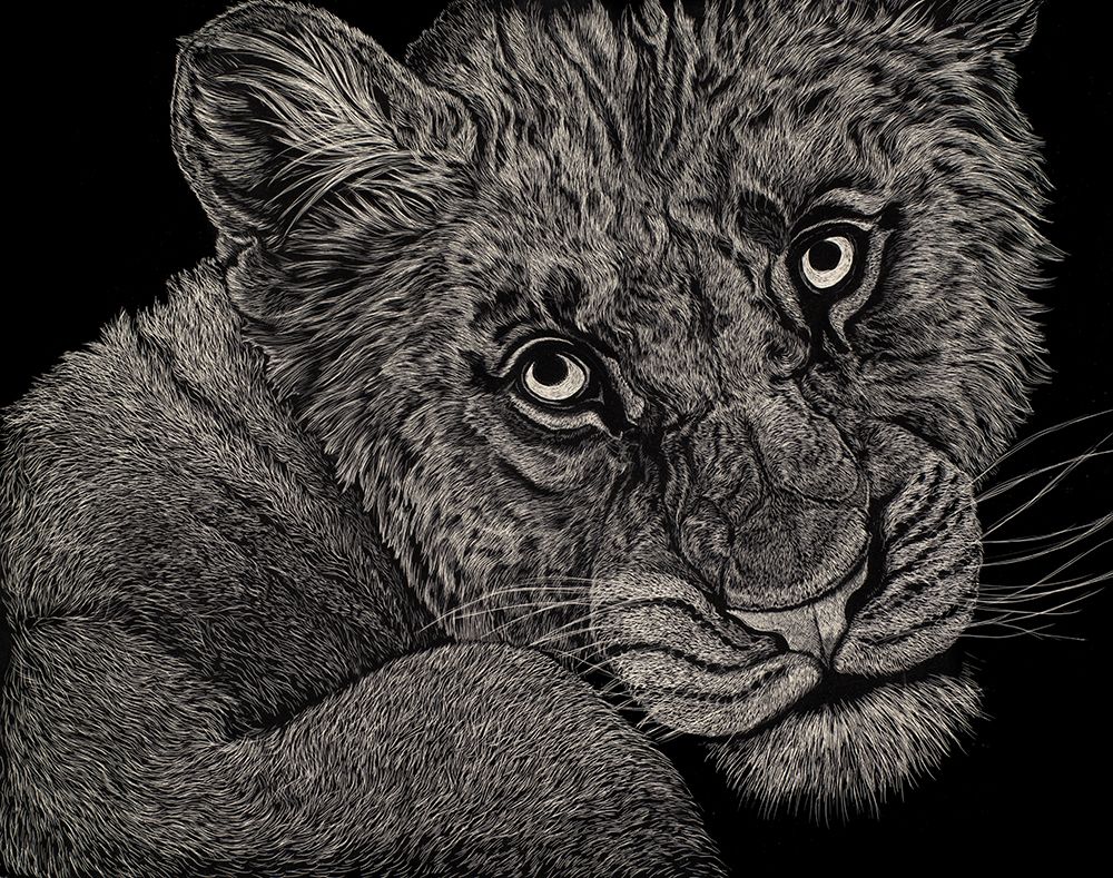 Pride Of The Pride art print by Liz Sunridge for $57.95 CAD