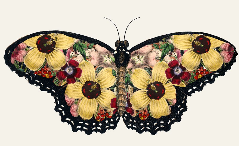 Butterfly Yellow Wing Study art print by Piddix for $57.95 CAD