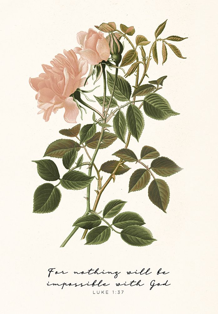 Floral Script art print by Piddix for $57.95 CAD