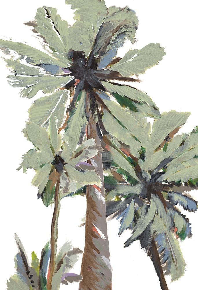 La Palma II art print by Patricia Pinto for $57.95 CAD