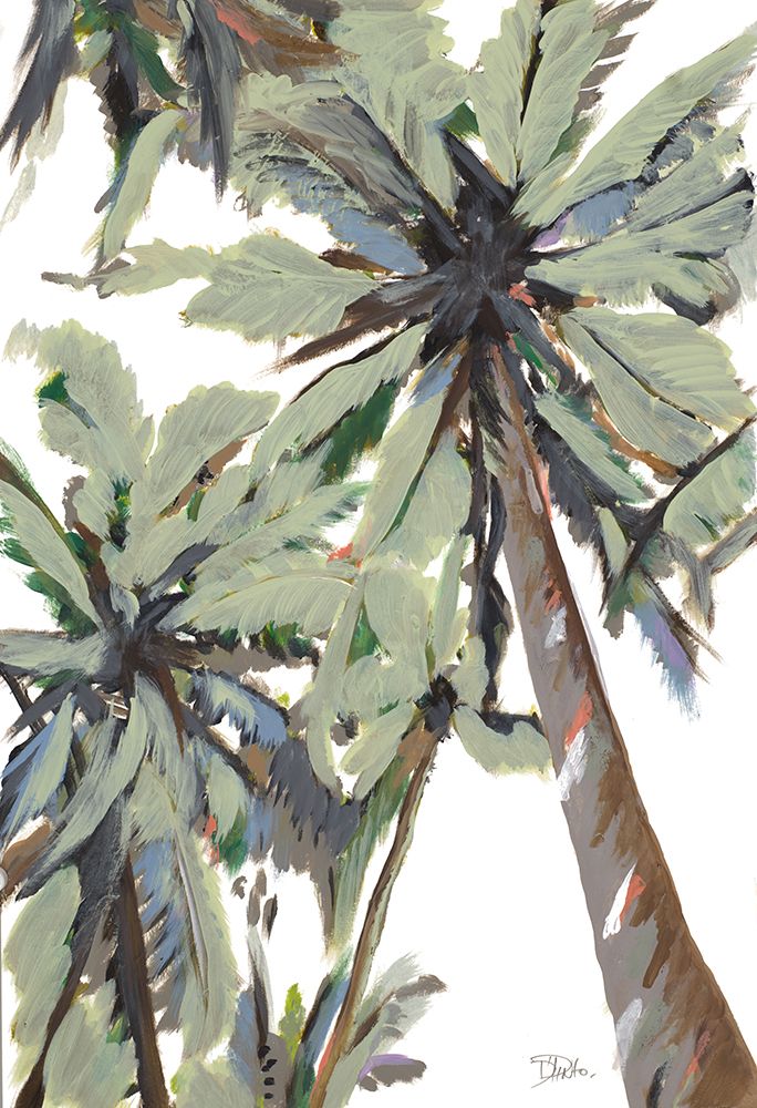 La Palma I art print by Patricia Pinto for $57.95 CAD