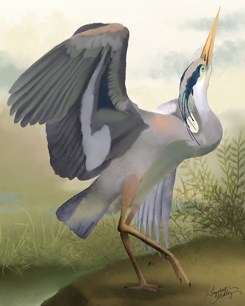 Heron Study I art print by Elizabeth Medley for $57.95 CAD