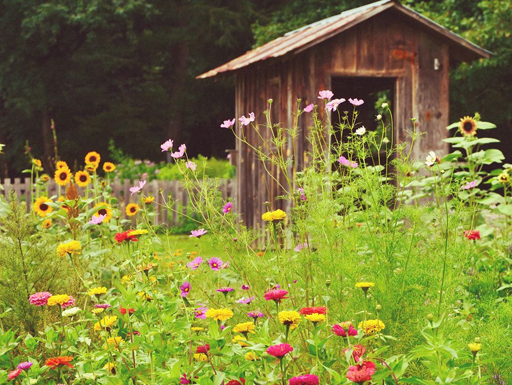 Surrounded By Flowers art print by Gail Peck for $57.95 CAD