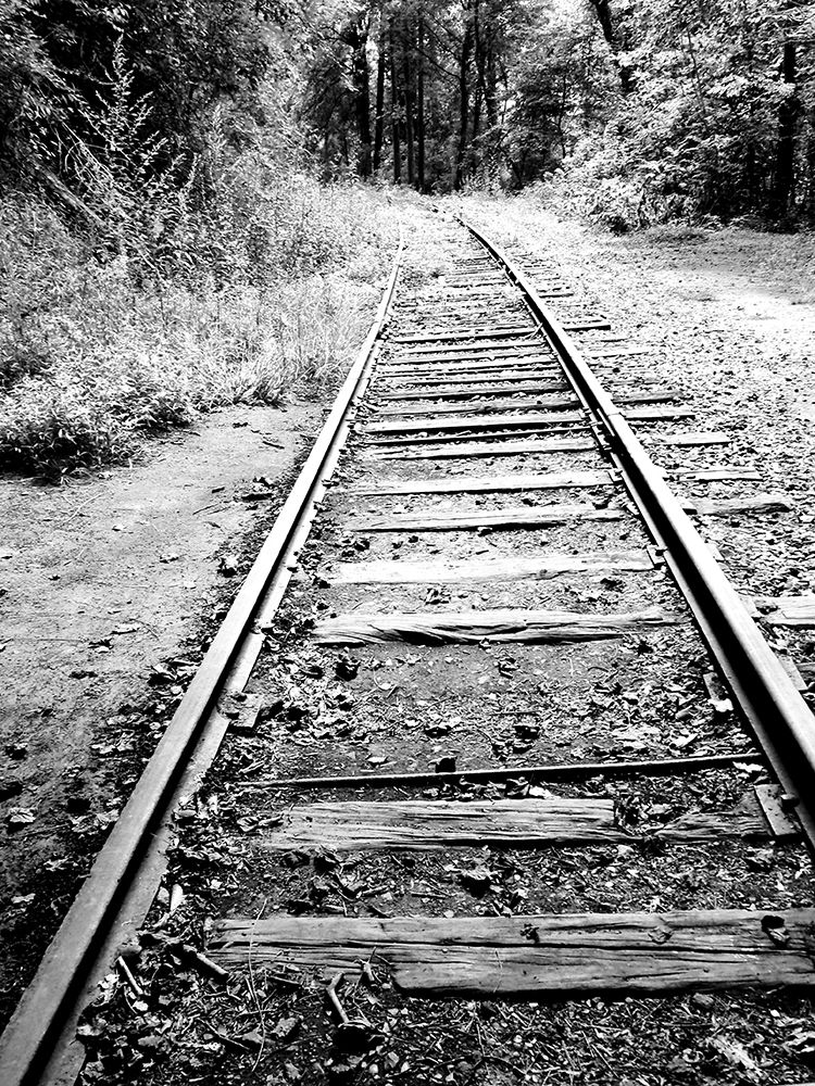 Railroad Tracks art print by Gail Peck for $57.95 CAD