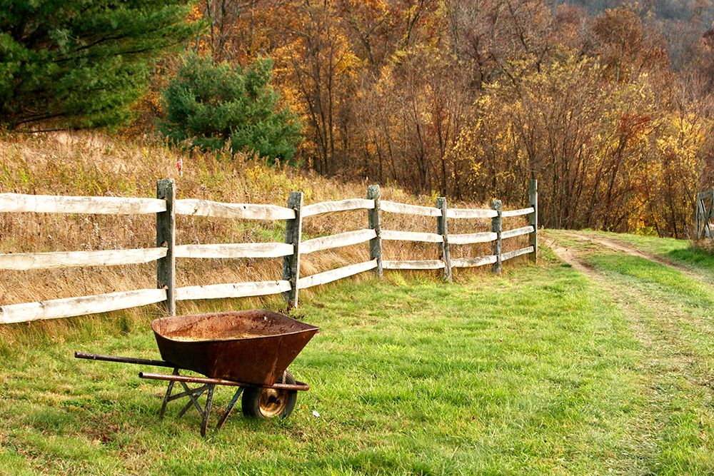 The Wheelbarrow art print by Kathy Mansfield for $57.95 CAD