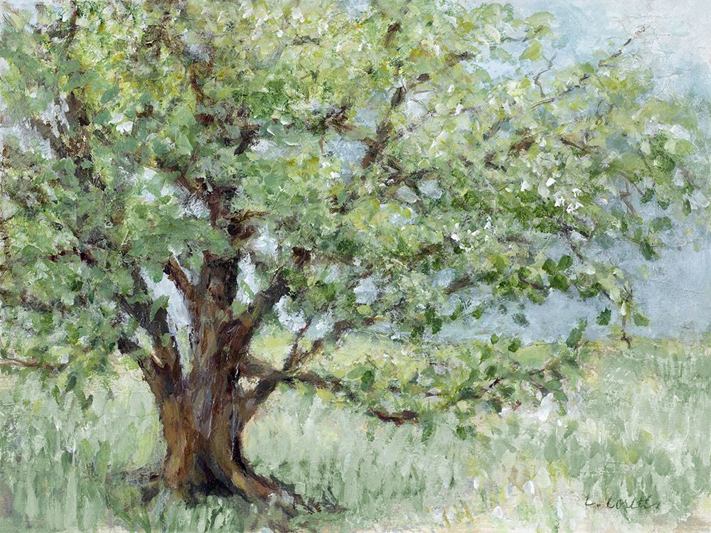 Summer Oak Splendor art print by Lanie Loreth for $57.95 CAD