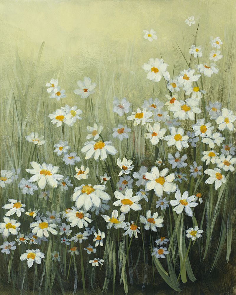 Daisyland art print by Lanie Loreth for $57.95 CAD
