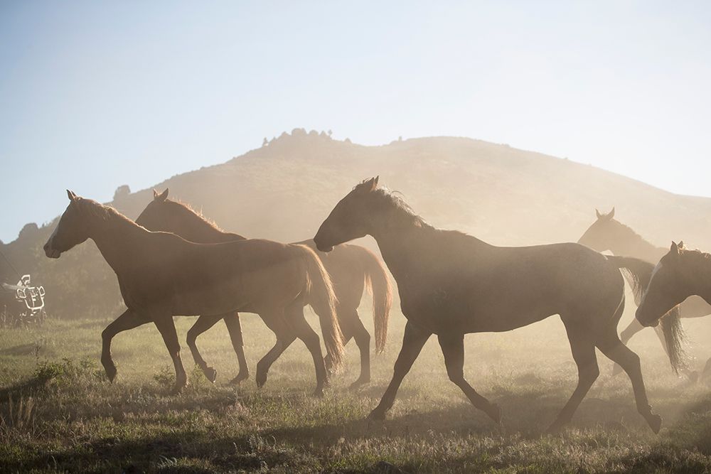 Returning To The Barn art print by Piddix for $57.95 CAD