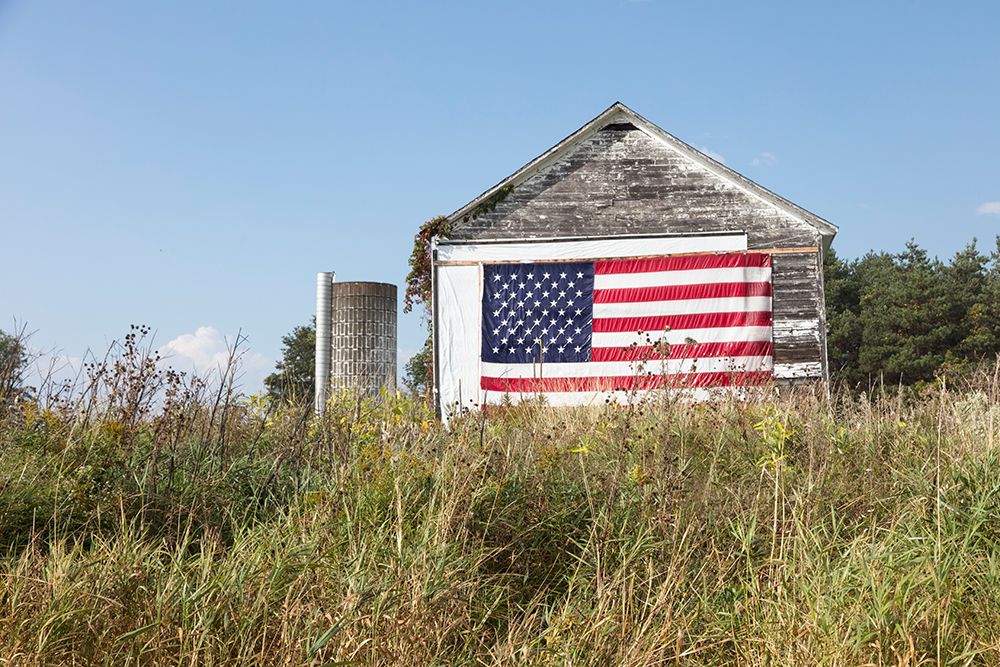 Patriotic Flag art print by Piddix for $57.95 CAD