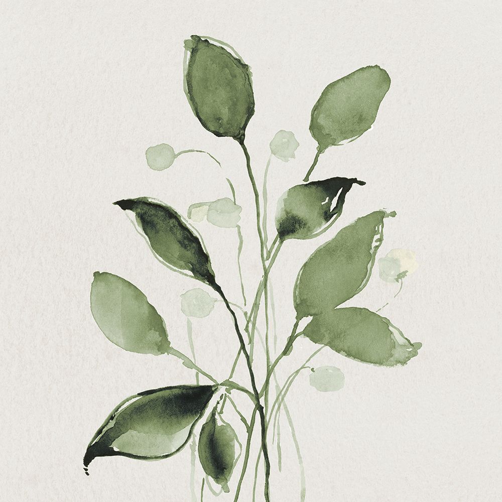 Botanical prints and posters