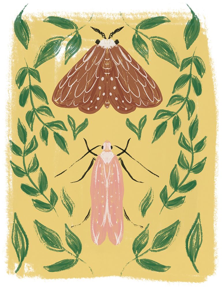 Garden Moths art print by Lucille Price for $57.95 CAD